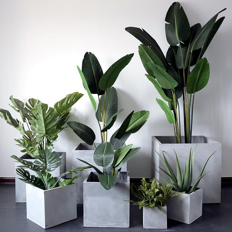MI50 Plant Stands, More Size Available | Weilai Concept